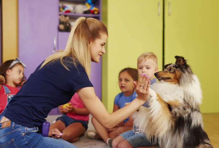 Mitos e verdades sobre a terapia animal