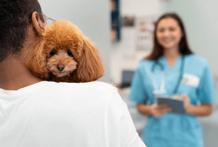 Benefícios do plano de saúde para pets: Acesso a serviços veterinários de qualidade, economia em consultas e procedimentos veterinários!