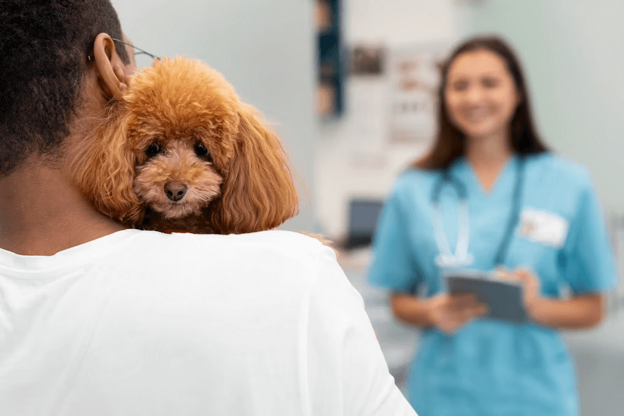 Benefícios do plano de saúde para pets: Acesso a serviços veterinários de qualidade, economia em consultas e procedimentos veterinários!