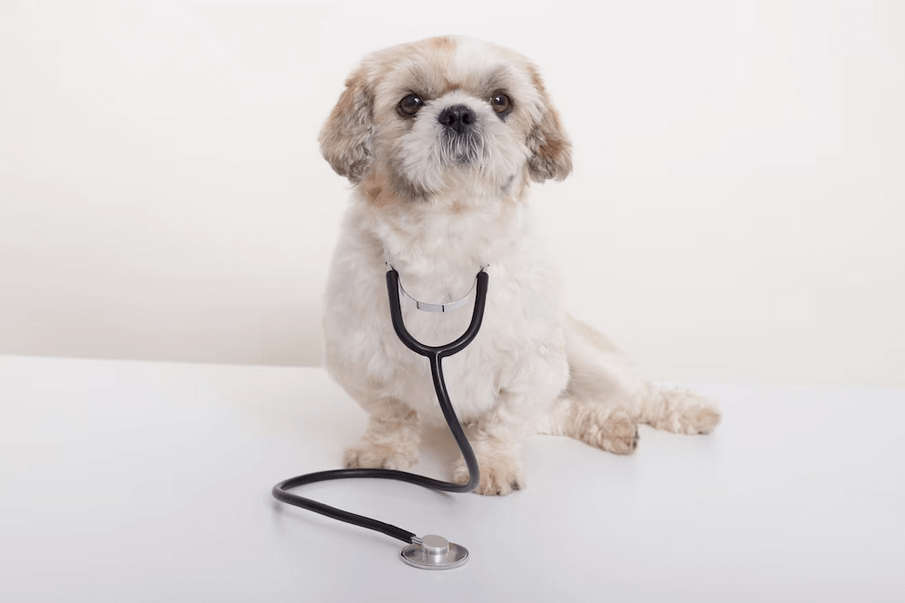 Cardiologista Veterinário, o guardião dos corações peludos.