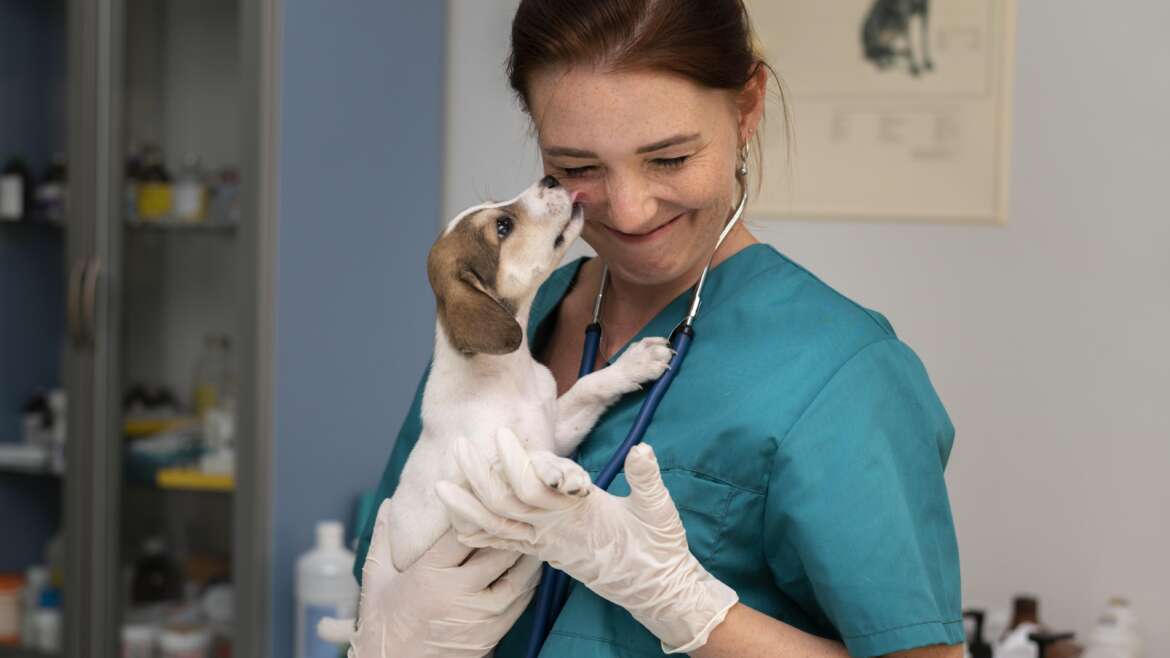 O que um endocrinologista veterinário pode fazer pelo seu pet