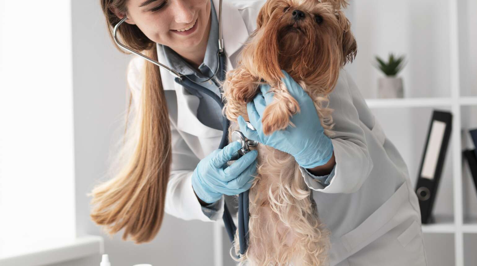 Desvendando a eletroquímica veterinária, uma ferramenta valiosa no diagnóstico e tratamento de problemas de saúde em pets.